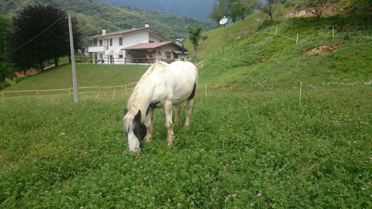 Frisanco B&B In Fattoria المظهر الخارجي الصورة